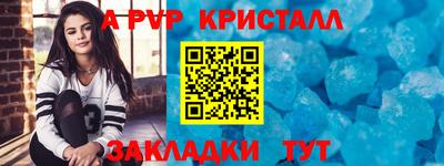 прущие грибы Можга