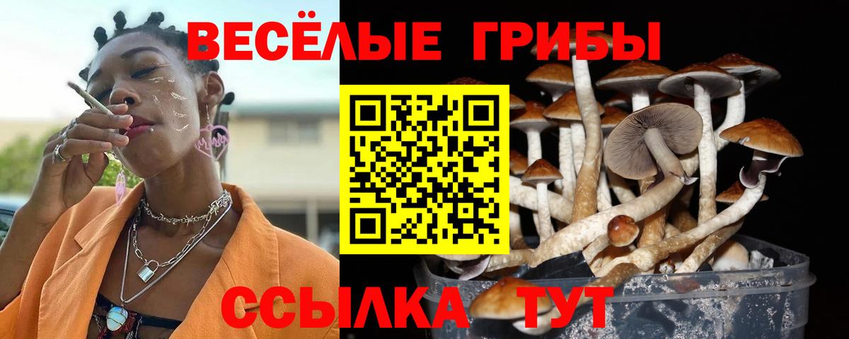 Псилоцибиновые грибы мухоморы  Вход с VPN  Галлюциногенные грибы Psilocybe  Великий Новгород 